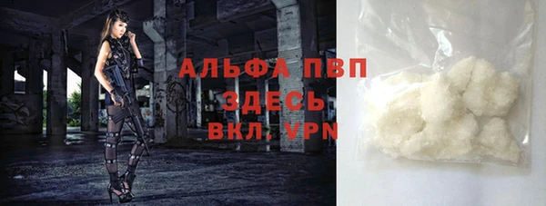 стафф Гусев