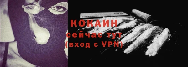 ПСИЛОЦИБИНОВЫЕ ГРИБЫ Горняк