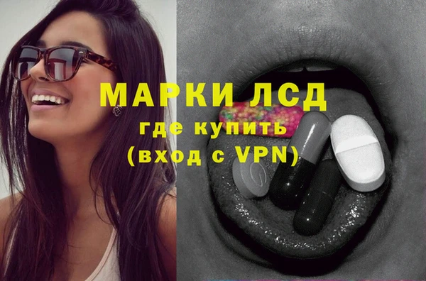 стафф Гусев