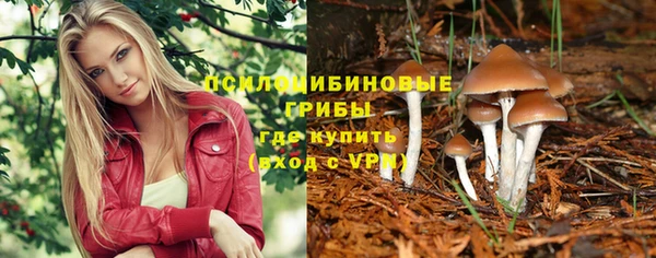 ПСИЛОЦИБИНОВЫЕ ГРИБЫ Горняк