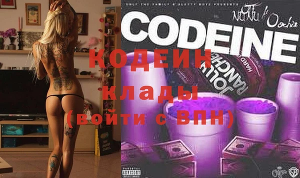 стафф Гусев