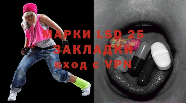 ПСИЛОЦИБИНОВЫЕ ГРИБЫ Горняк