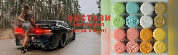 стафф Гусев